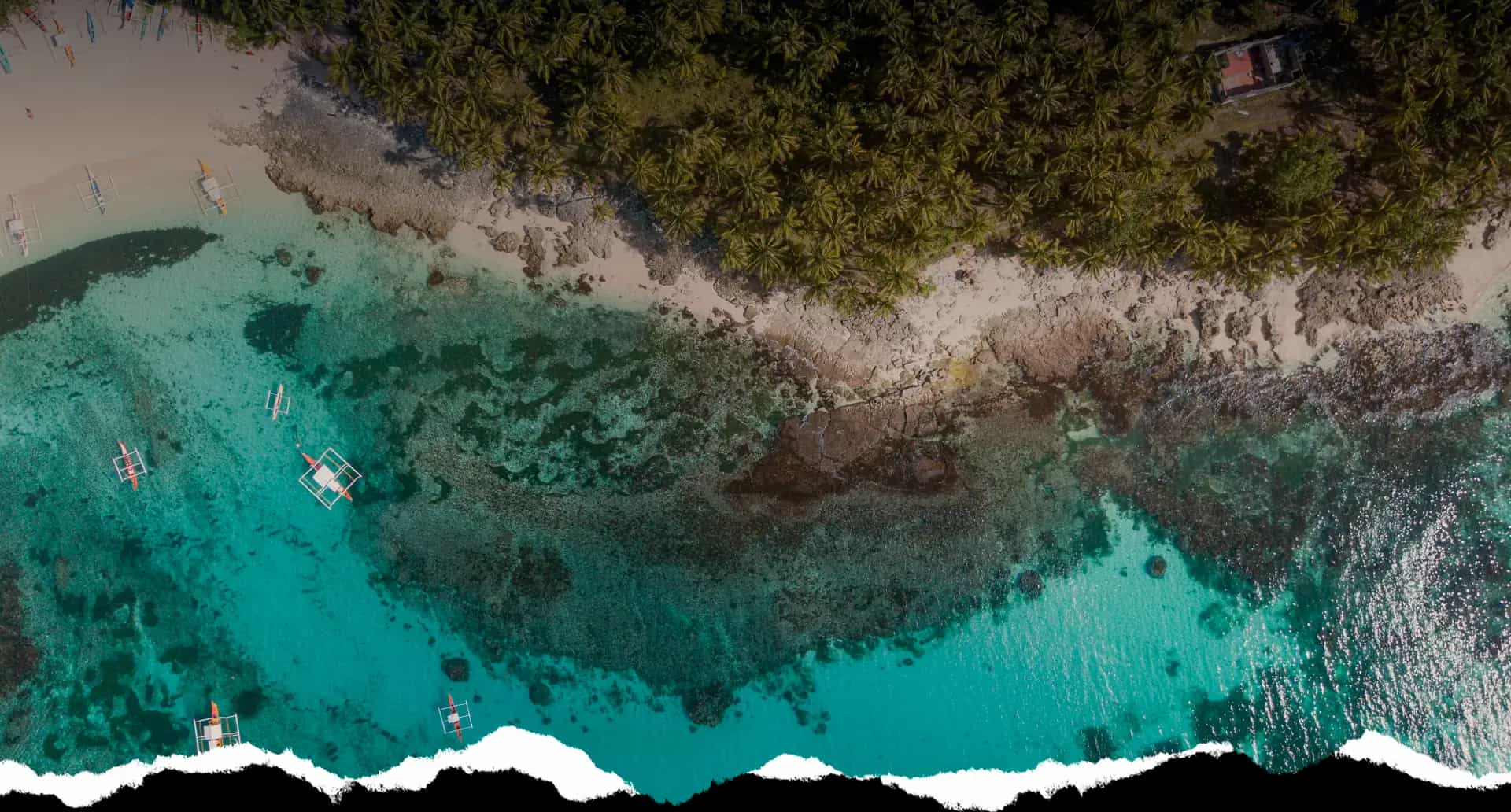 Home page header